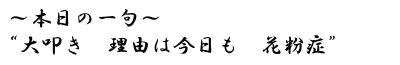 大叩き　理由は今日も　花粉症