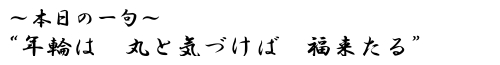 本日の一句　　“年輪は　丸と気づけば　福来たる