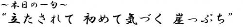 ?本日の一句? 立たされて 初めて気づく 崖っぷち